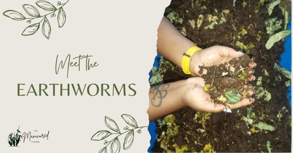 Meet The Earthworms